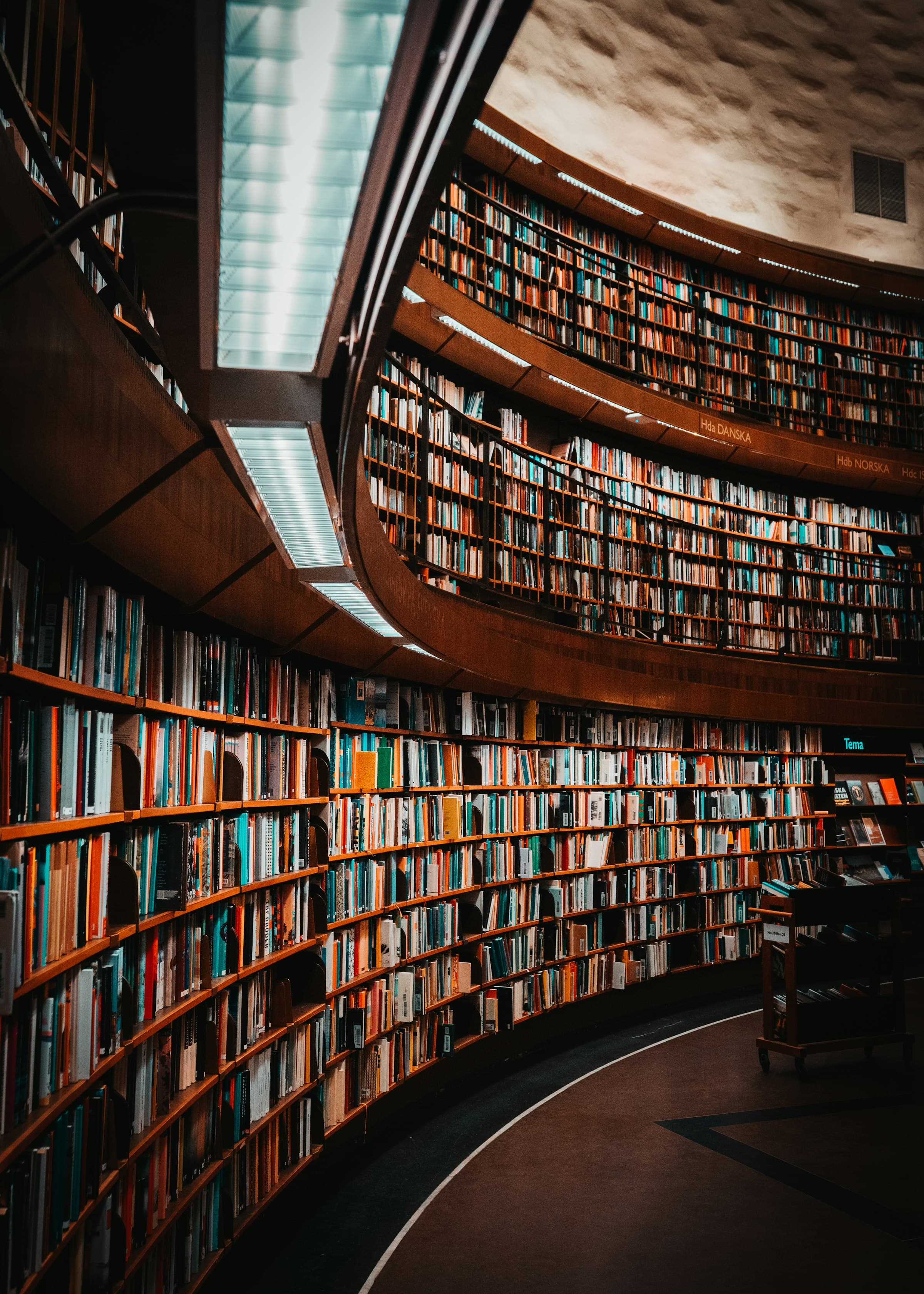 Why Your Wikipedia Page Matters for AI Search Visibility